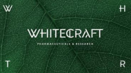 Фирменный стиль компании WhiteСraft от Wellhead Фирменный стиль компании WhiteСraft от Wellhead