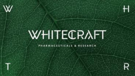 Фирменный стиль компании WhiteСraft от Wellhead